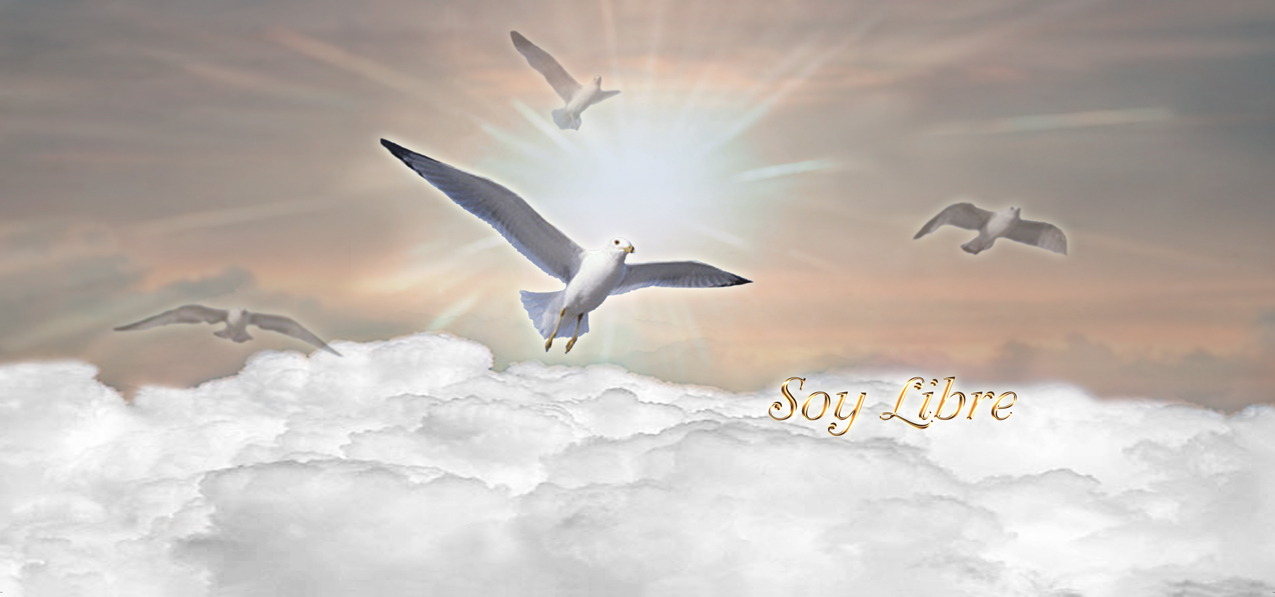 Soy Libre Clouds Bronze